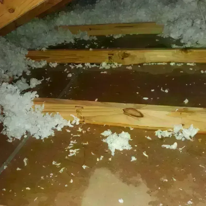 Attic Water Damage in Greenfield, MO