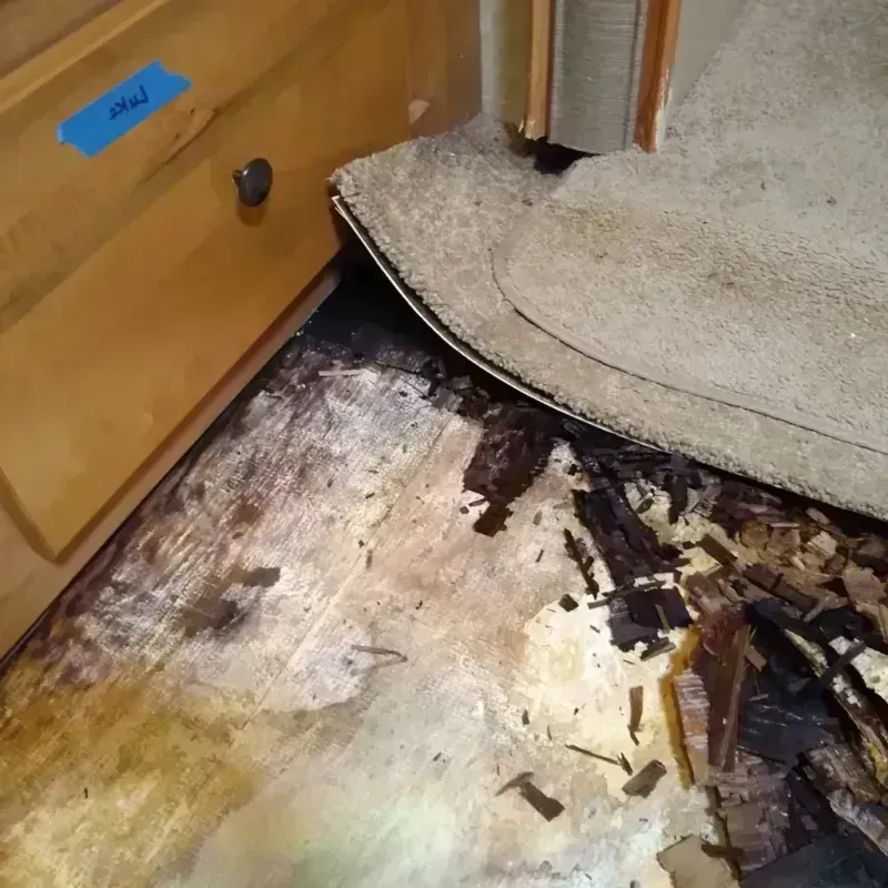 Wood Floor Water Damage in Greenfield, MO